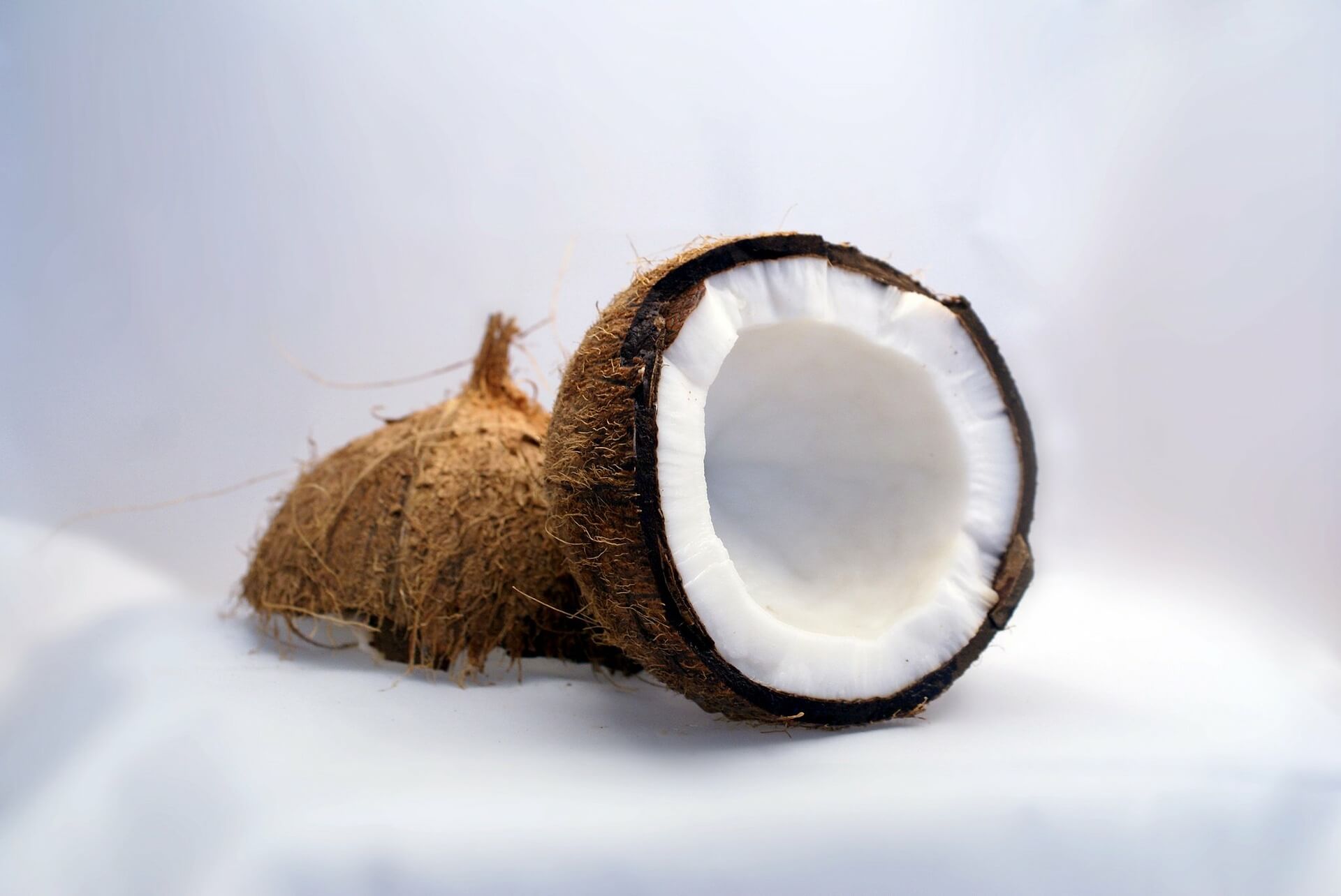 Tecido feito a partir das sobras de coco
