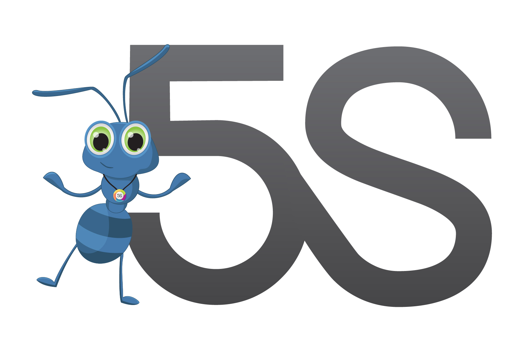 5S A busca contínua por elevados padrões.