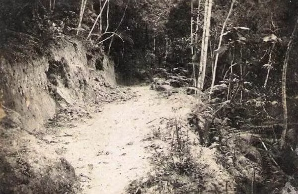 Com uma pequena marcenaria nasce a Kohler & Cia Ltda