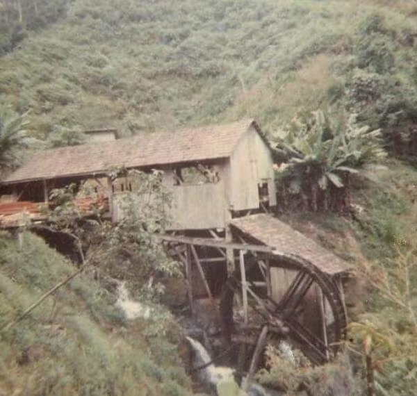 Estrutura da Serraria em 1971