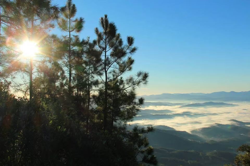 A Reserva Florestal entra oficialmente no Parque Nacional Serra do Itajaí